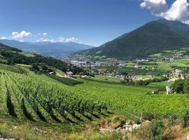 BUEHLERHOF Agriturismo, Obst-&Weingut, Urlaub mit Hund, Pferde, Bauernhof, Brixen，位于罗萨的农家乐