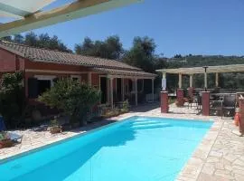 Paxos Bonzai Studios