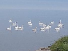 Takvåning-Borgholm，位于博里霍尔姆的海滩短租房