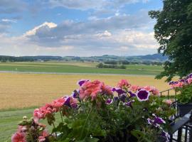 布鲁门霍夫酒店，位于阿特尔高地区圣格奥尔根的酒店