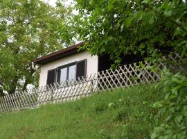 Ferienhaus Jagafranzl，位于Gnas的酒店