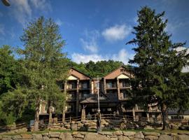 Stonebrook Lodge Bryson City，位于布赖森城的酒店