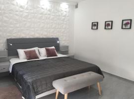 Apartman SONAS 2 with free private parking，位于卡尔洛瓦茨的酒店