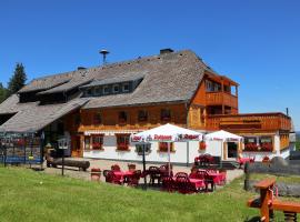 Höhenpension Glashütte Bed&Breakfast Frühstückspension Hotel GARNI，位于格拉斯许特的酒店