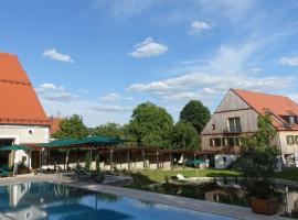 祖斯特博瑞罗曼蒂克酒店，位于多瑙河畔诺伊堡的酒店