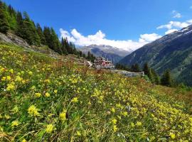 Alpengasthof Gaislach Alm，位于索尔登的酒店