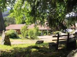 Notre Dame des Monts，位于Ban-sur-Meurthe-Clefcy的酒店