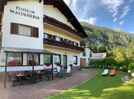 Pension & Apartments Waldkrieber