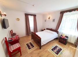 Pensiunea Sovirag，位于Sic的酒店