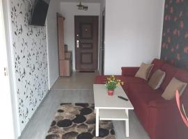Apartament Alina，位于萨图恩的酒店