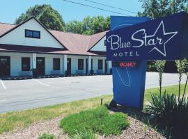 Blue Star Motel，位于Douglas的汽车旅馆