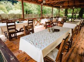 Hanu Bratcutei，位于Bratca的酒店