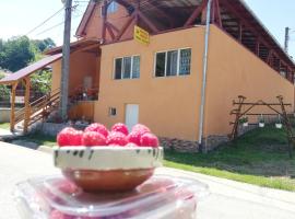 Fructele Padurii，位于Baia de Arieş的酒店