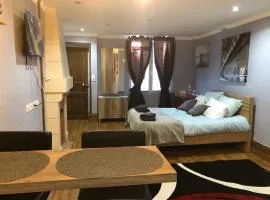 Studio Chaleureux Blois Centre