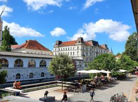 Petkovšek Rooms and Apartments，位于卢布尔雅那的住宿加早餐旅馆