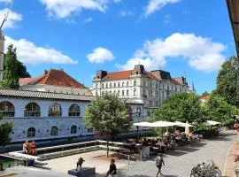 Petkovšek Rooms and Apartments