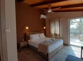 Room near the Airport