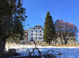 MONT BLANC 20 LE REVARD，位于Pugny-Chatenod莱夫拉德滑雪学校附近的酒店