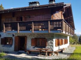 Chalet Wulli in der Nähe der Skianlagen Savognin，位于萨沃宁的木屋