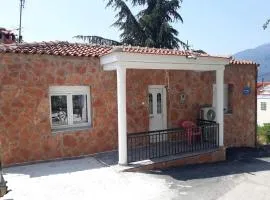Dimitris house