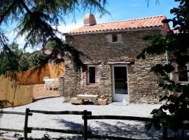 Gîte les genêts