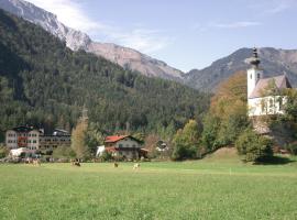 Campingplatz Torrenerhof，位于萨尔察赫河畔戈灵的酒店