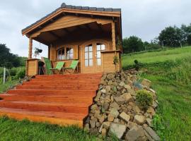 Domek na Winnicy，位于Dąbrówka Szczepanowska的酒店