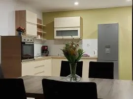 Apartment Ivan