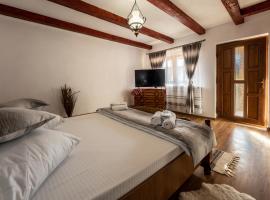 Casa Brutarului Crit，位于Criţ的酒店