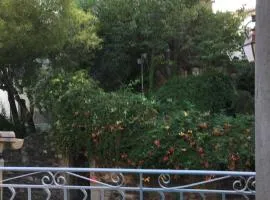 Plein Sud : jolie maison dans village pittoresque de l'Hérault.
