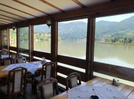 Gostionica Šoja Zvornicko jezero，位于兹沃尔尼克的酒店