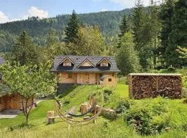 Dom pod Baranią - Wisła - sauna, jacuzzi & widok na góry