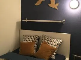 Studio Cime de l'Est