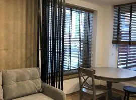 Apartamentai Juodkrantėje SMILGA, dviejų kambarių, Vilų 36, Neringa