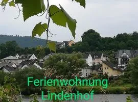 Die Ferienwohnung Lindenhof