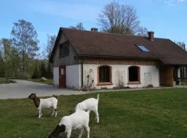 Atpūtas Vieta Raudiņi