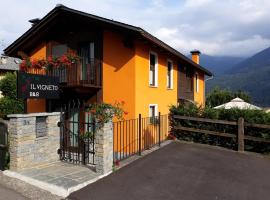 Il Vigneto，位于Castione Andevenno的酒店