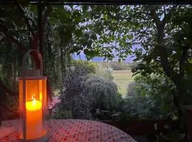 Haus im Grünen Meer