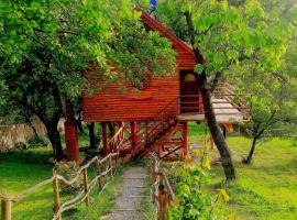 Casuta din Poiana，位于Poiana的酒店