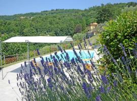 Villa Mario, piscina privata,aria cond,immersa nel verde,campagna Toscana，位于皮斯托亚的度假屋