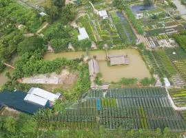 竹屋清风民宿