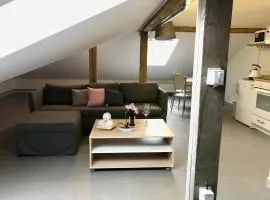 Apartmán U babičky