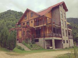 Cabana Soarelui Retezat，位于Nucşoara的山林小屋