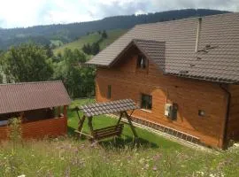 Карпатська перлина