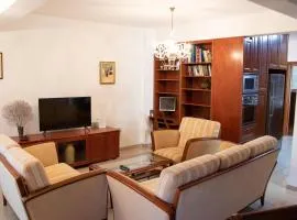 Luxury Apartment, near Pinikoudes beach