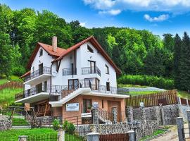Charming Villa in a Private Mountain Resort，位于布拉索夫的度假村