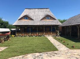 Casa Colț din Maramureș - Old Traditional House，位于舒加塔格盐矿镇的乡村别墅