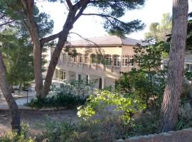 Appartements des Joncas