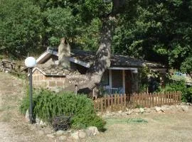 Azienda Agricola Biologica La Cardellina