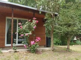 Waldhaus Halvor